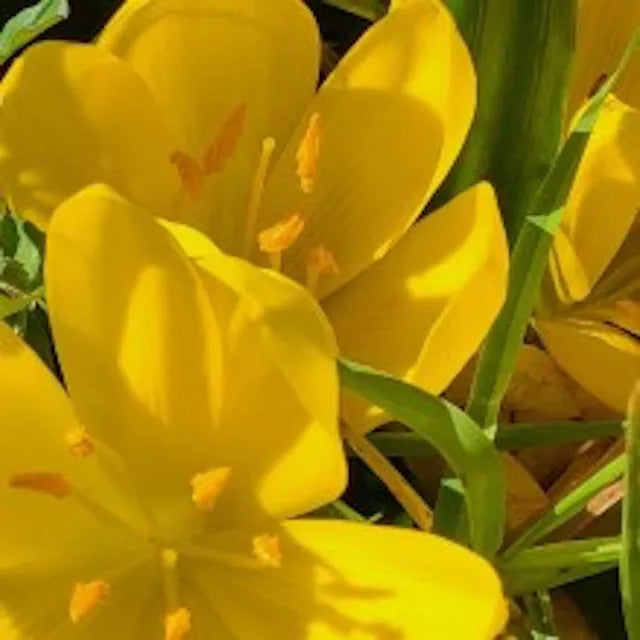 April Newsletter