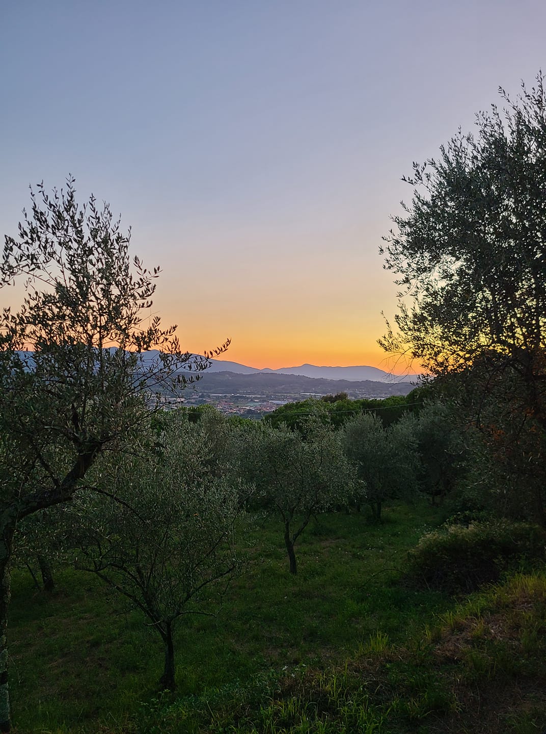 January 2026 Newsletter