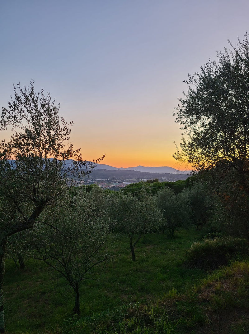 January 2026 Newsletter